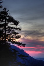 Enlarge photo 16