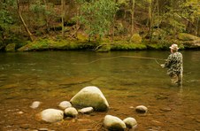 Smoky Mts Spring 07