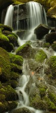Enlarge photo 19