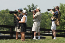 Enlarge photo 54