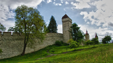 Enlarge photo 7