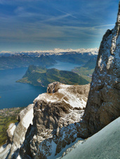 Enlarge photo 10