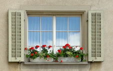 Enlarge photo 22