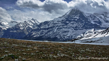Enlarge photo 19