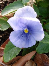 Enlarge photo 9