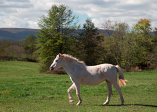 Enlarge photo 20