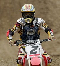 Enlarge photo 63