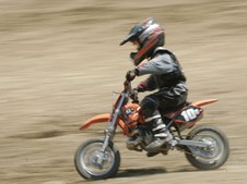 Enlarge photo 72