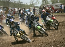 Enlarge photo 73