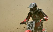 Enlarge photo 75