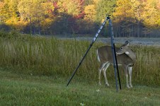 Enlarge photo 23