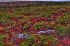 Enlarge photo 16