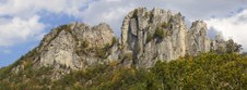 Enlarge photo 4