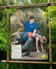 Enlarge photo 12