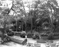 Enlarge photo 15