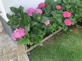 Enlarge photo 22
