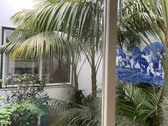 Enlarge photo 33