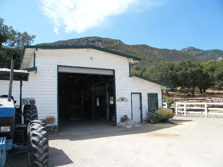 Enlarge photo 22