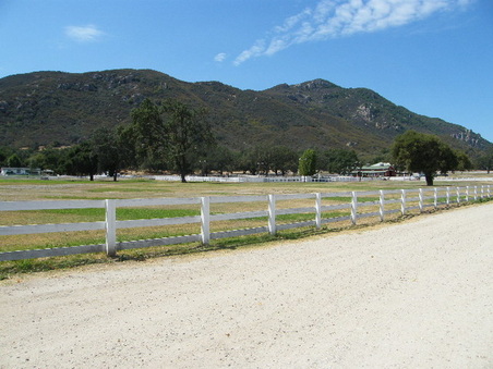 Enlarge photo 52