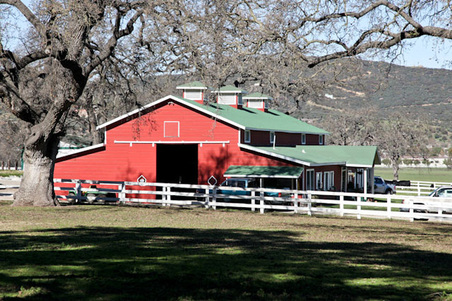 Enlarge photo 64