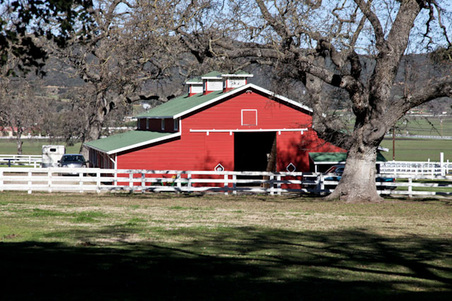 Enlarge photo 74