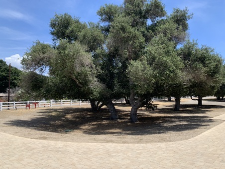 Enlarge photo 36