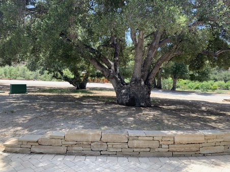 Enlarge photo 42