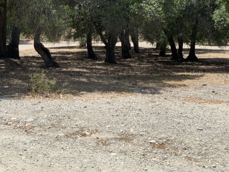 Enlarge photo 91