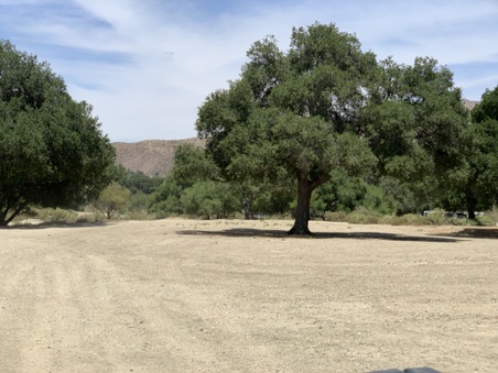 Enlarge photo 93