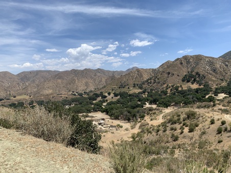 Enlarge photo 102