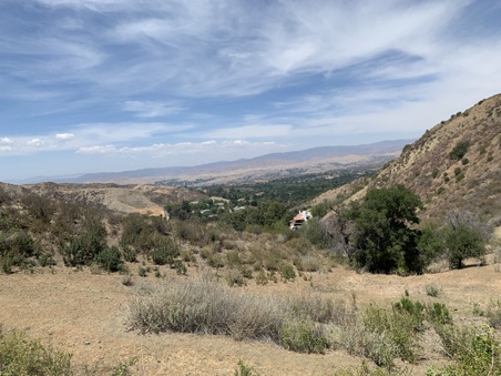 Enlarge photo 103