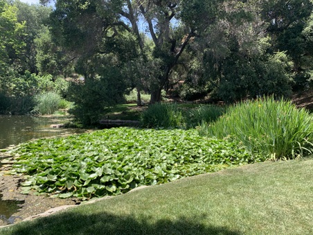 Enlarge photo 138
