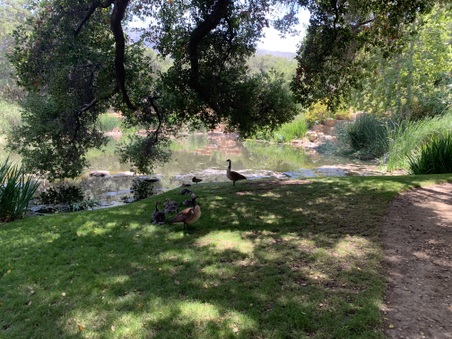 Enlarge photo 145