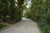 Enlarge photo 1