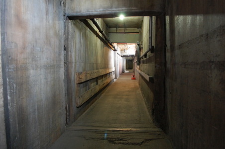 Enlarge photo 63