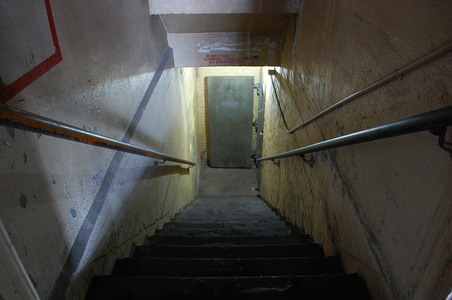 Enlarge photo 65