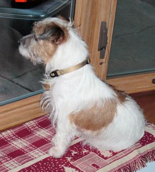 Mr Grigsby joins our family