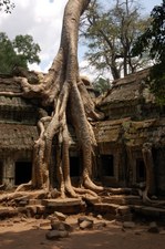 Siem Reap/Angkor Wat