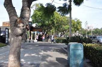 Enlarge photo 23
