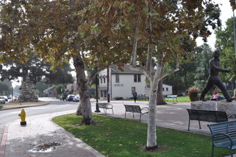 Enlarge photo 6