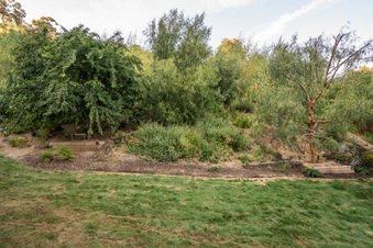 Enlarge photo 132