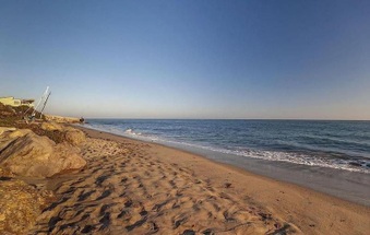 Enlarge photo 137