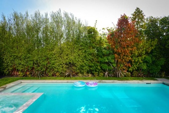 Enlarge photo 47