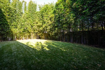 Enlarge photo 53