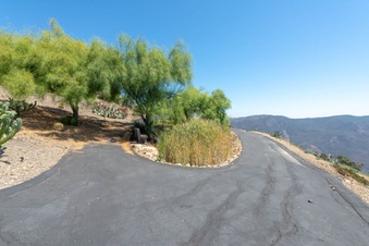 Enlarge photo 73