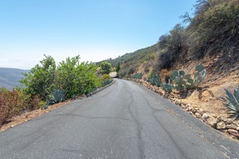 Enlarge photo 93