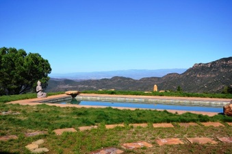 Enlarge photo 55