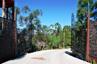 Enlarge photo 63