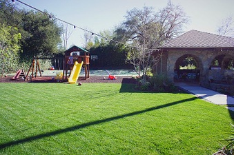 Enlarge photo 87