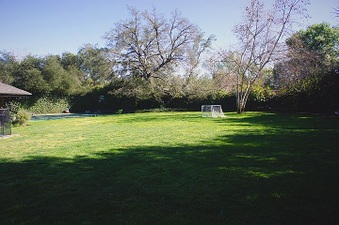 Enlarge photo 101